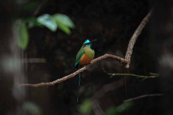 pourquoi investir dans des outils de gestion de la relation client (CRM) pour votre entreprise